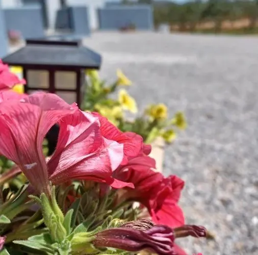 فندق Pounta Vingláfia